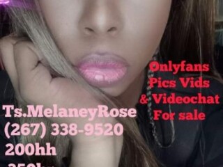 Ts.melaneyrose | Shemale Escort in Philadelphia PA | 267 338-9520 - 